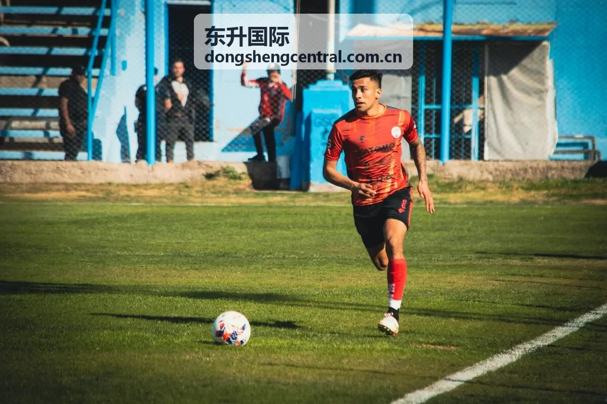 东升国际全球市场拓展白皮书封面