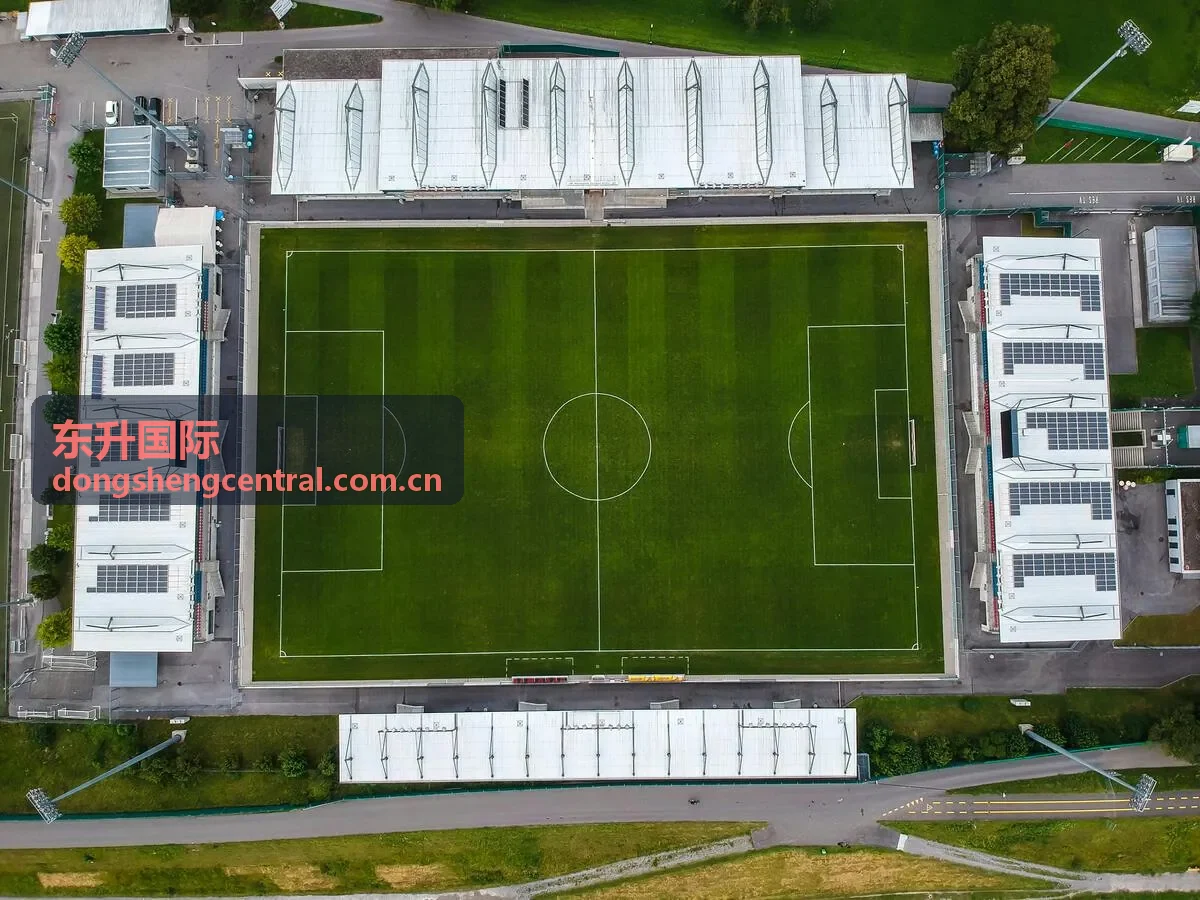 东升国际消费品行业东南亚市场拓展案例