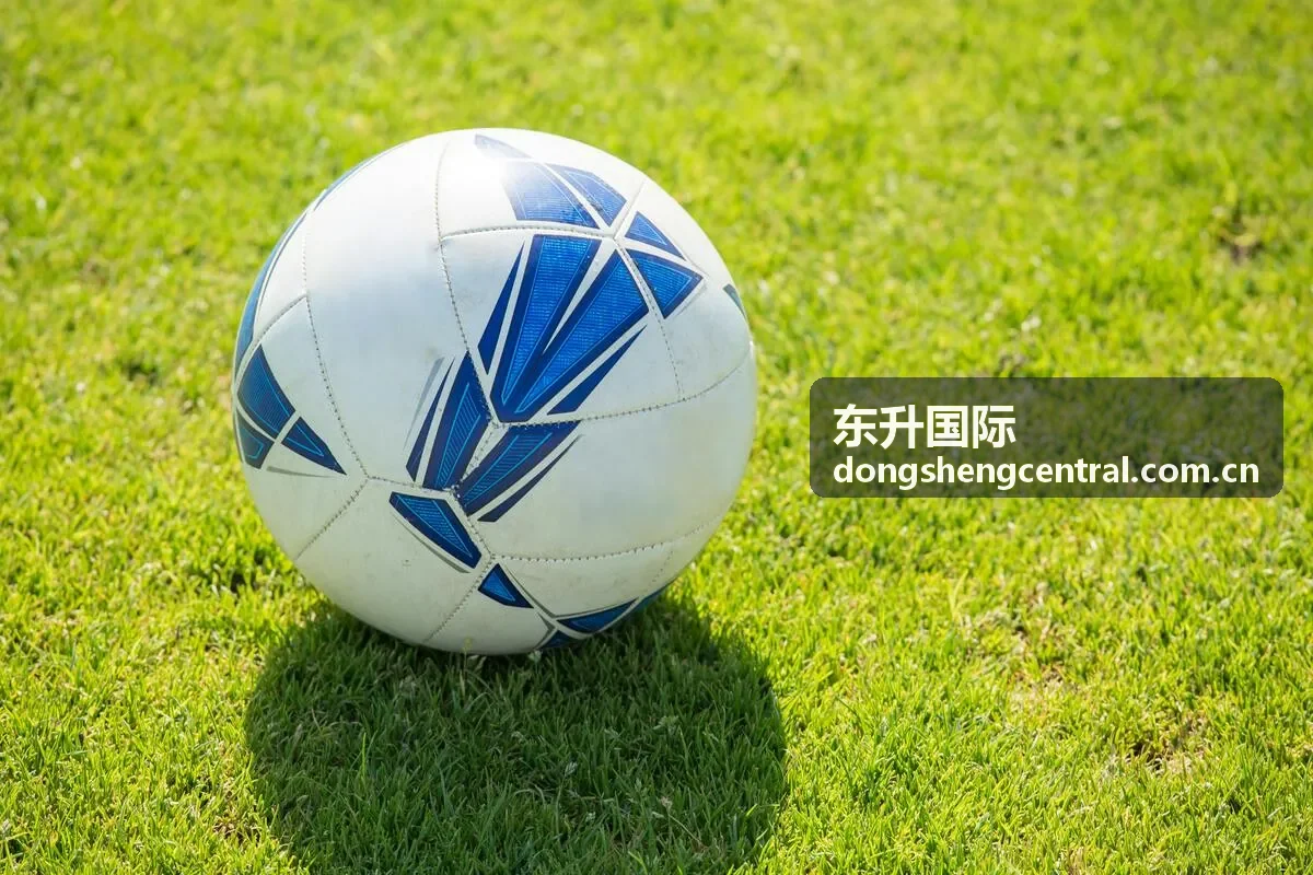 东升国际原产地认证服务