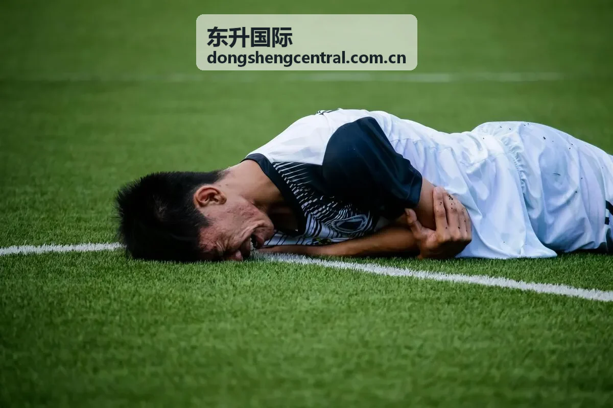东升国际贸易风险管理体系